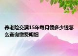 养老险交满15年每月领多少钱怎么查询缴费明细