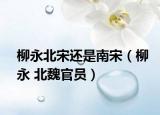 柳永北宋还是南宋（柳永 北魏官员）