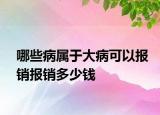 哪些病属于大病可以报销报销多少钱