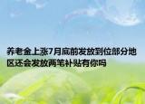 养老金上涨7月底前发放到位部分地区还会发放两笔补贴有你吗
