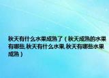 秋天有什么水果成熟了（秋天成熟的水果有哪些,秋天有什么水果,秋天有哪些水果成熟）
