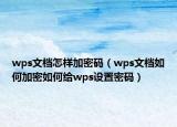 wps文档怎样加密码（wps文档如何加密如何给wps设置密码）