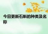 今日更新石斛的种类及名称