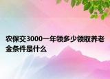 农保交3000一年领多少领取养老金条件是什么