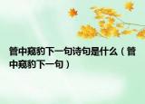 管中窥豹下一句诗句是什么（管中窥豹下一句）