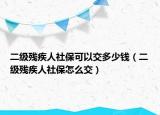 二级残疾人社保可以交多少钱（二级残疾人社保怎么交）
