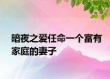 暗夜之爱任命一个富有家庭的妻子