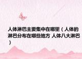 人体淋巴主要集中在哪里（人体的淋巴分布在哪些地方 人体八大淋巴）