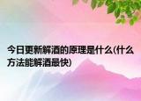 今日更新解酒的原理是什么(什么方法能解酒最快)
