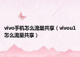 vivo手机怎么流量共享（vivou1怎么流量共享）