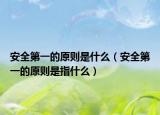 安全第一的原则是什么（安全第一的原则是指什么）
