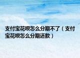 支付宝花呗怎么分期不了（支付宝花呗怎么分期还款）