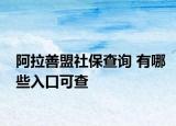 阿拉善盟社保查询 有哪些入口可查