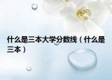 什么是三本大学分数线（什么是三本）