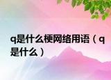 q是什么梗网络用语（q是什么）