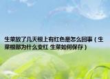 生菜放了几天根上有红色是怎么回事（生菜根部为什么变红 生菜如何保存）