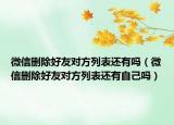 微信删除好友对方列表还有吗（微信删除好友对方列表还有自己吗）