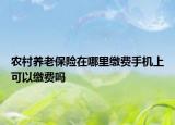 农村养老保险在哪里缴费手机上可以缴费吗