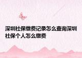 深圳社保缴费记录怎么查询深圳社保个人怎么缴费