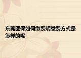 东莞医保如何缴费呢缴费方式是怎样的呢