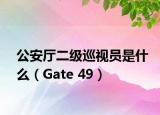 公安厅二级巡视员是什么（Gate 49）