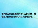 微信朋友圈只能看到共同好友的点赞（微信朋友圈点赞只有共同好友能看到吗）