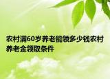 农村满60岁养老能领多少钱农村养老金领取条件