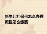 新生儿社保卡怎么办理流程怎么缴费