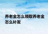 养老金怎么领取养老金怎么补发