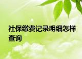 社保缴费记录明细怎样查询