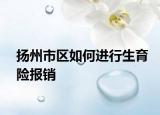 扬州市区如何进行生育险报销