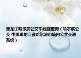 黑龙江哈尔滨公交车线路查询（哈尔滨公交 中国黑龙江省哈尔滨市境内公共交通系统）