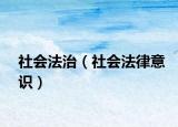 社会法治（社会法律意识）
