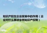 知识产权在企业发展中的作用（企业对什么事项享有知识产权呢）