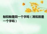 敧和攲是同一个字吗（箎和篪是一个字吗）