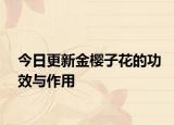 今日更新金樱子花的功效与作用