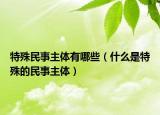 特殊民事主体有哪些（什么是特殊的民事主体）