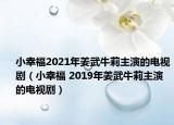 小幸福2021年姜武牛莉主演的电视剧（小幸福 2019年姜武牛莉主演的电视剧）