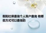 衡阳社保查询个人账户查询 有哪些方式可以查询的