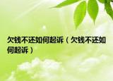 欠钱不还如何起诉（欠钱不还如何起诉）