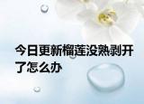 今日更新榴莲没熟剥开了怎么办