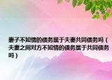 妻子不知情的债务属于夫妻共同债务吗（夫妻之间对方不知情的债务属于共同债务吗）