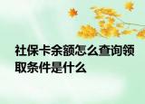 社保卡余额怎么查询领取条件是什么