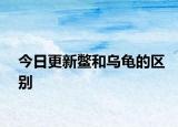 今日更新鳖和乌龟的区别