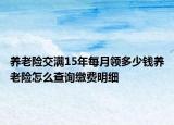 养老险交满15年每月领多少钱养老险怎么查询缴费明细