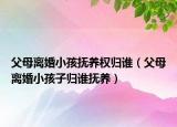 父母离婚小孩抚养权归谁（父母离婚小孩子归谁抚养）