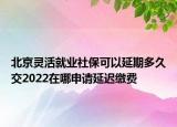 北京灵活就业社保可以延期多久交2022在哪申请延迟缴费