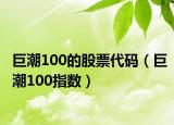 巨潮100的股票代码（巨潮100指数）