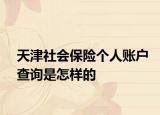 天津社会保险个人账户查询是怎样的