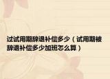 过试用期辞退补偿多少（试用期被辞退补偿多少加班怎么算）